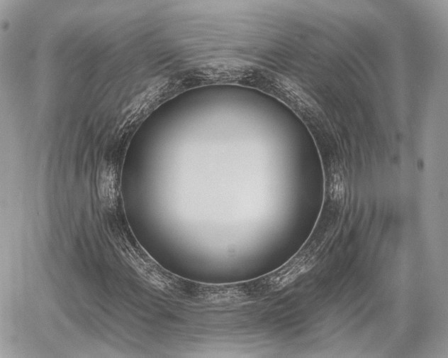 X0000060801108200511141432