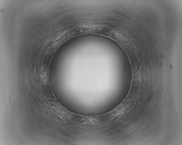 X0000060801109200511141432