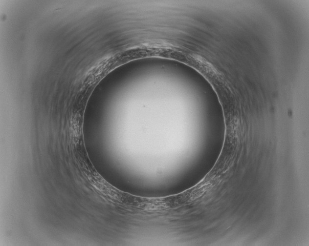 X0000060801110200511141432