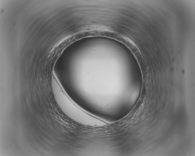 X0000060801112200511141432