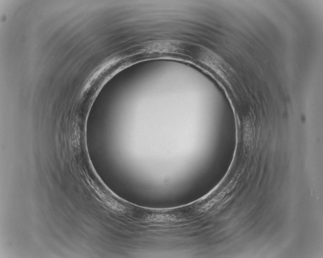 X0000060801115200511141432