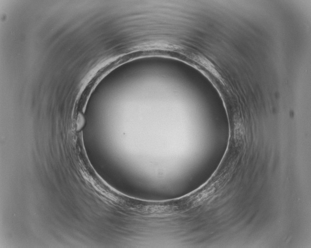 X0000060801116200511141432