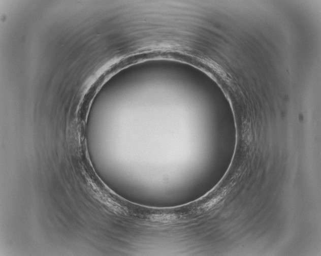 X0000060801118200511141432