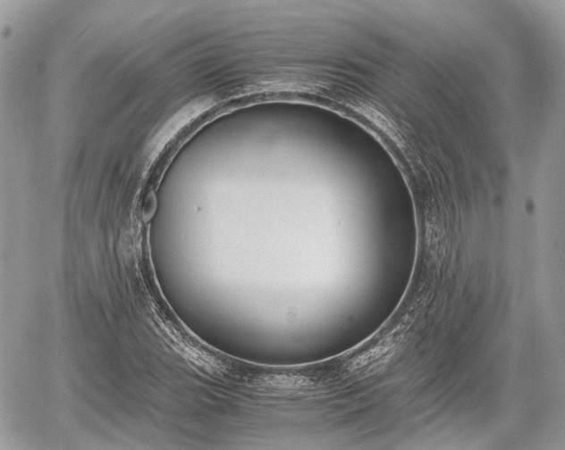 X0000060801119200511141432