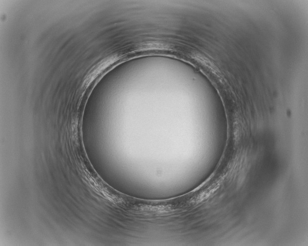 X0000060801121200511141433