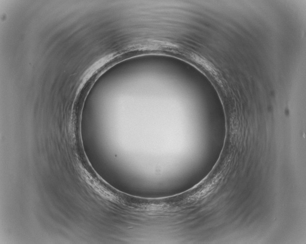 X0000060801122200511141433