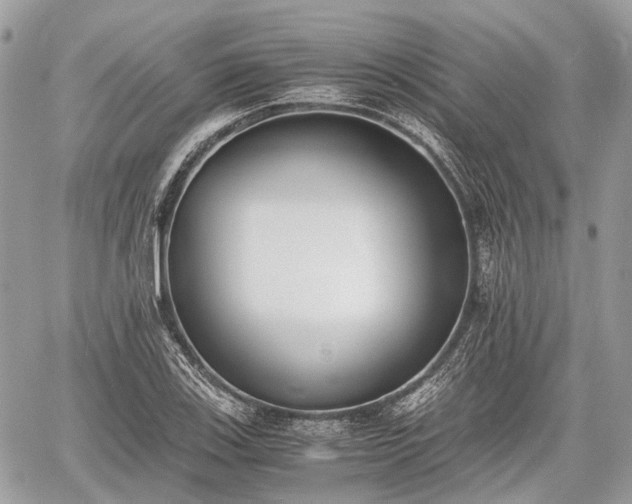 X0000060801123200511141433