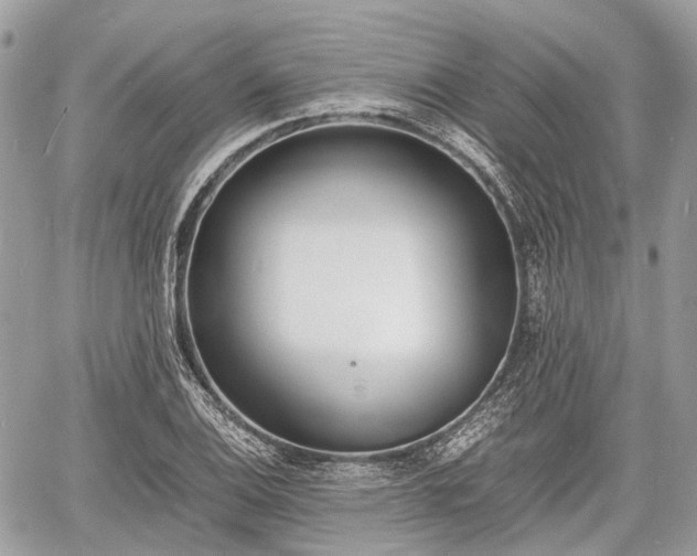 X0000060801124200511141433