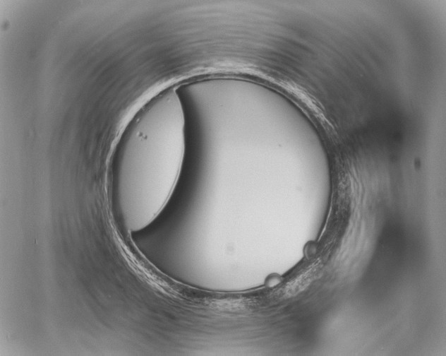 X0000060801126200511141433