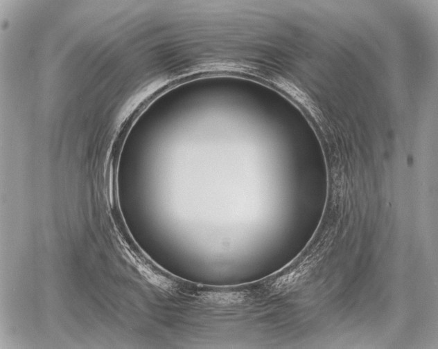 X0000060801127200511141433