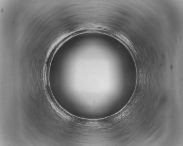 X0000060801128200511141433