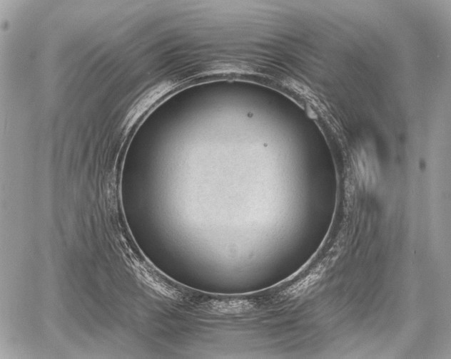 X0000060801129200511141433