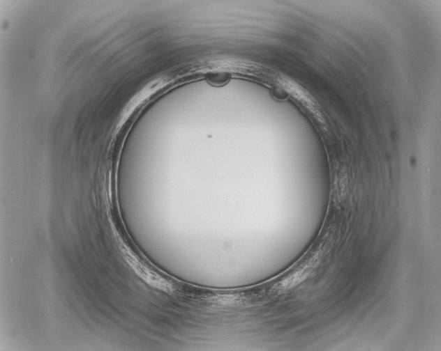 X0000060801130200511141433