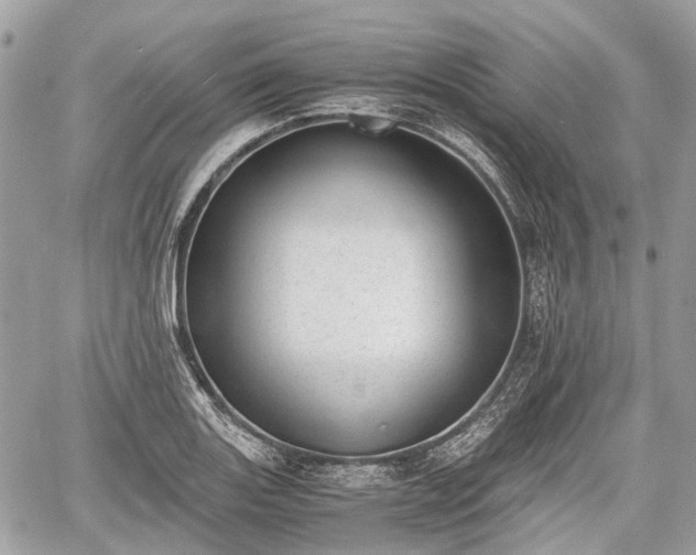 X0000060801131200511141433