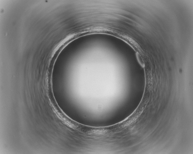 X0000060801134200511141433