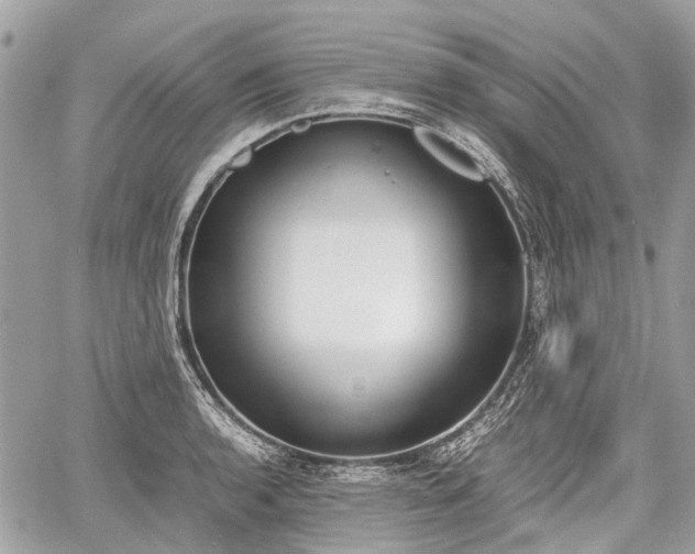 X0000060801136200511141433