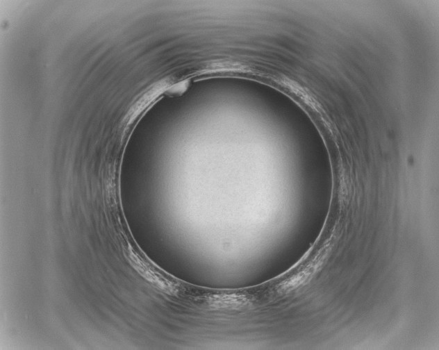 X0000060801137200511141433