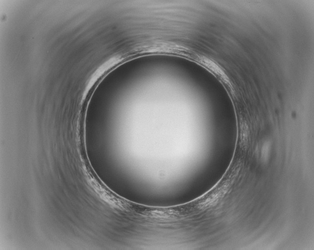 X0000060801138200511141433