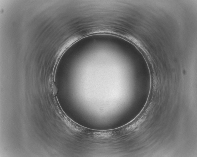 X0000060801145200511141433