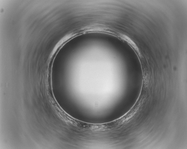 X0000060801146200511141433