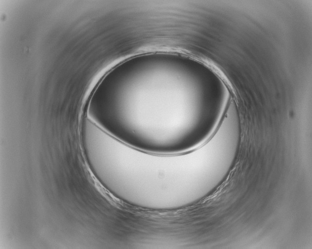 X0000060801148200511141433