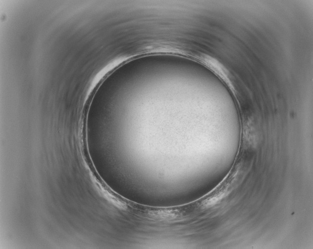 X0000060801149200511141433