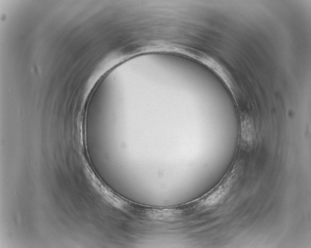 X0000060801150200511141433