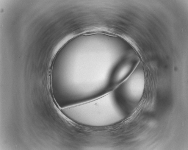 X0000060801151200511141433