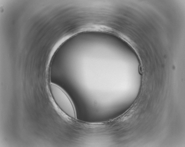 X0000060801152200511141433