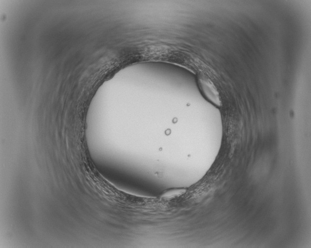 X0000060801153200511141432