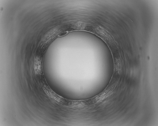 X0000060801154200511141432