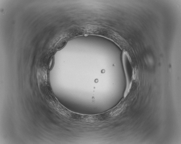 X0000060801155200511141432