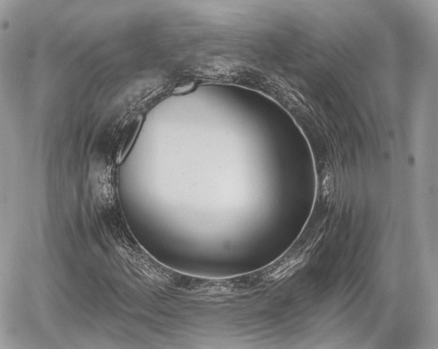 X0000060801156200511141432