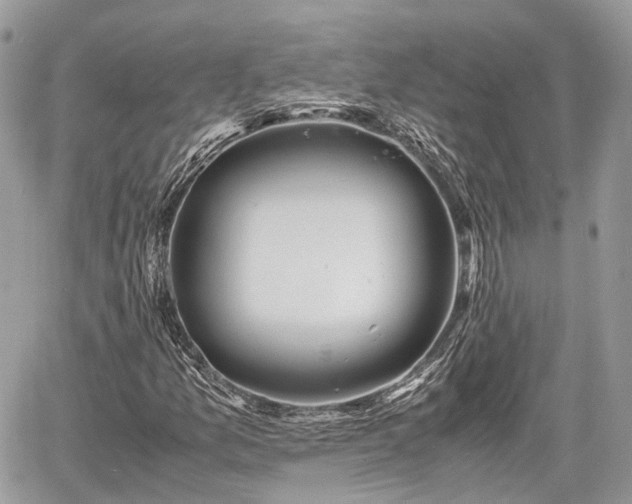 X0000060801157200511141432