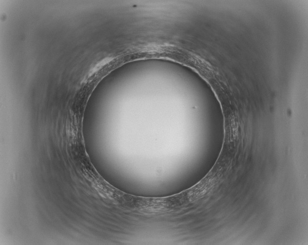 X0000060801158200511141432