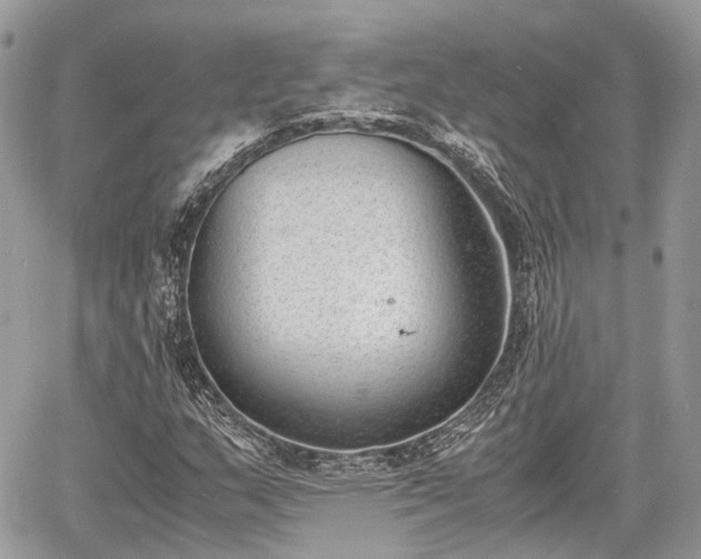 X0000060801159200511141432