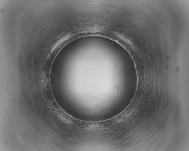 X0000060801160200511141432