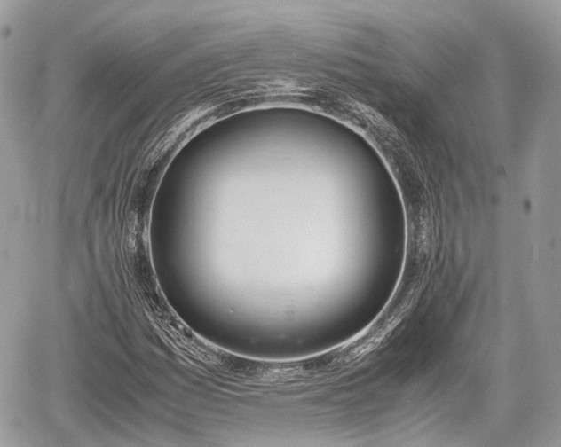 X0000060801161200511141432