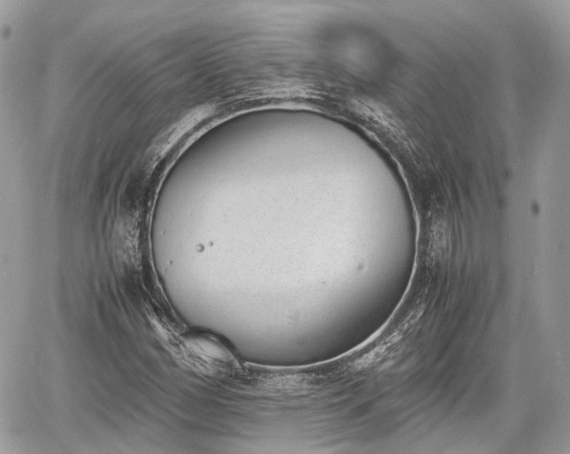 X0000060801162200511141432