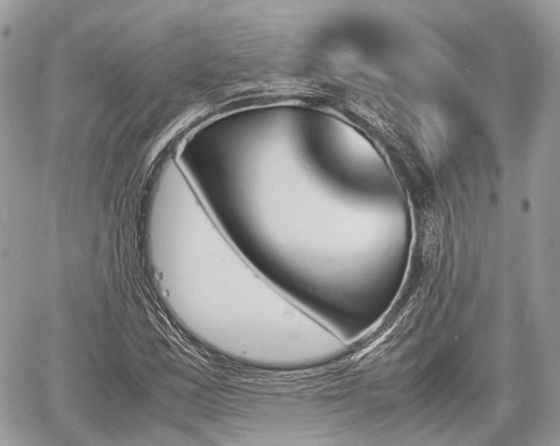 X0000060801163200511141432