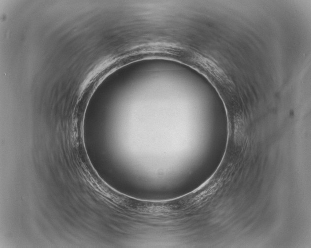 X0000060801164200511141432