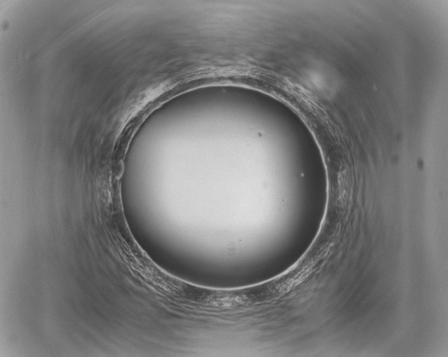 X0000060801165200511141432