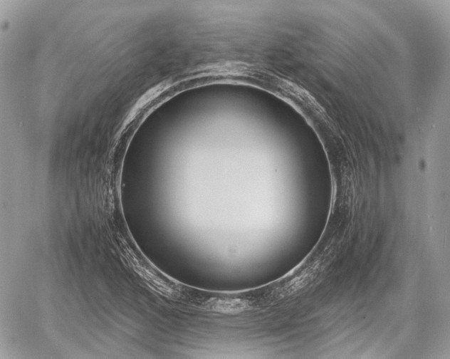 X0000060801168200511141432