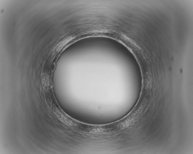 X0000060801169200511141432