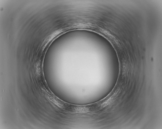 X0000060801170200511141432