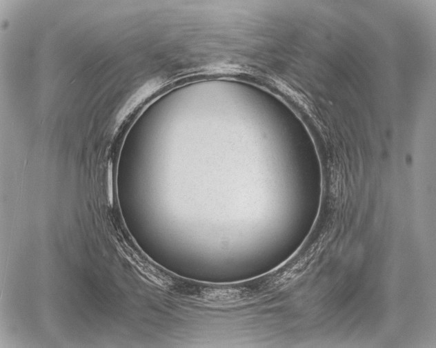 X0000060801171200511141432