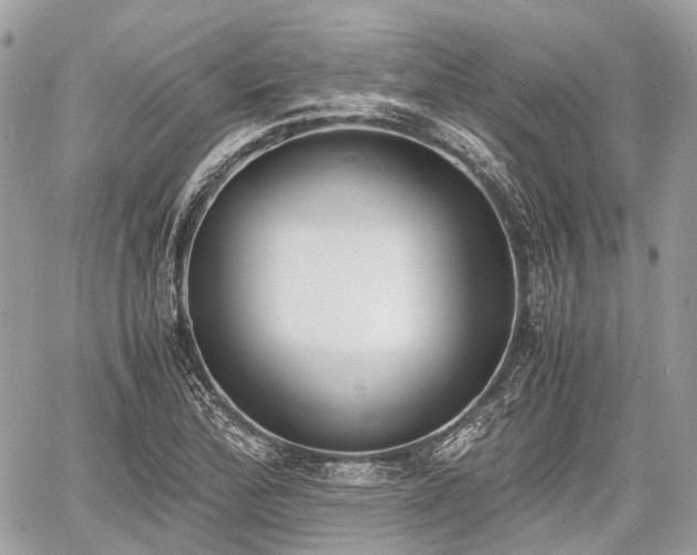 X0000060801172200511141432