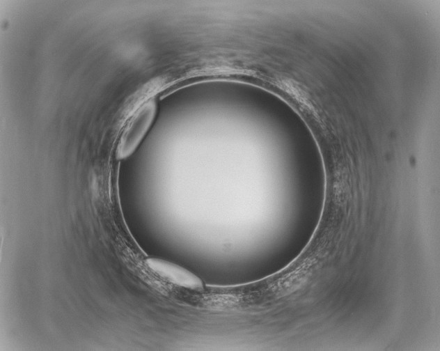 X0000060801173200511141432