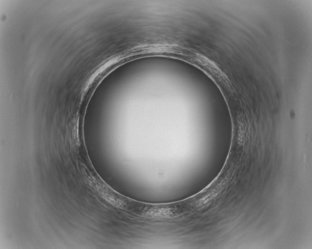 X0000060801174200511141432