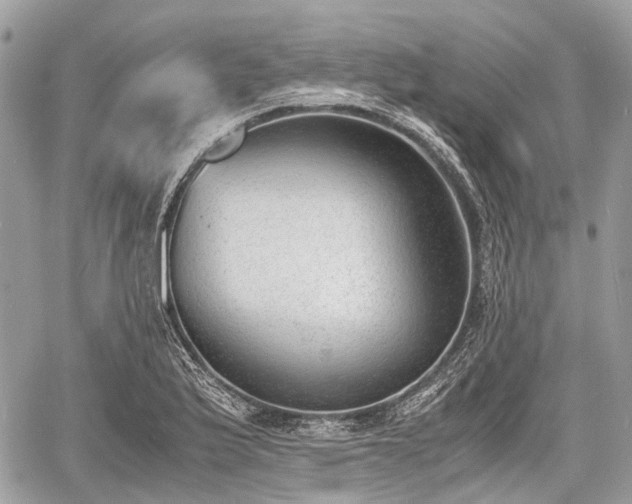 X0000060801175200511141432